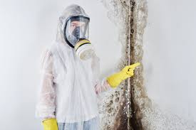 Best Black Mold Removal  in Jonesborough, TN